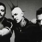 Rancid