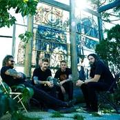 Mastodon