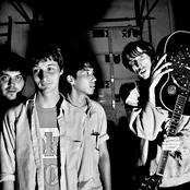 Deerhunter