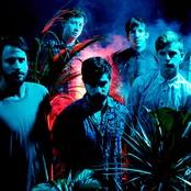 Foals