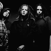 Korn