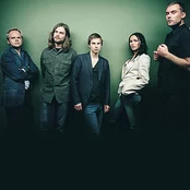 the cardigans